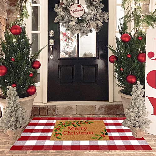 Christmas Red and White Plaid Rug (Red & White Plaid / 3' x 5' (Rectangular))