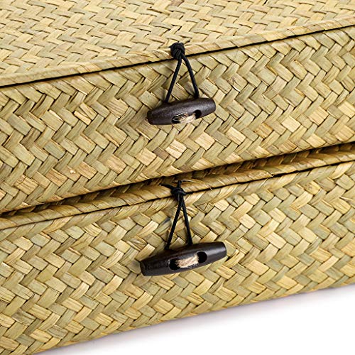 2 Packs Flat Wicker Basket Box with Lid Woven Seagrass Storage Bins (Small+Large / Natural Color)