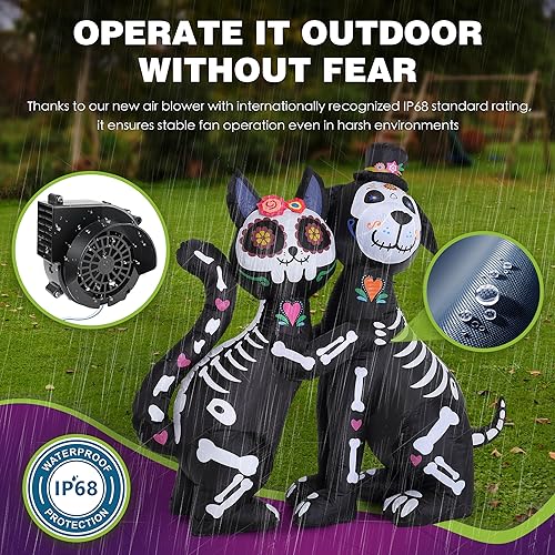 6 FT Halloween Inflatables Skeleton Black Cat and Dog (6 FT Cat & Dog)