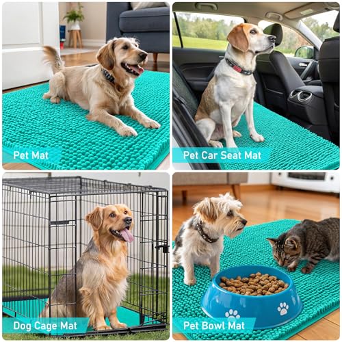 Dog Door Mat for Muddy Paws 36x24 (Teal / 36" X 24")