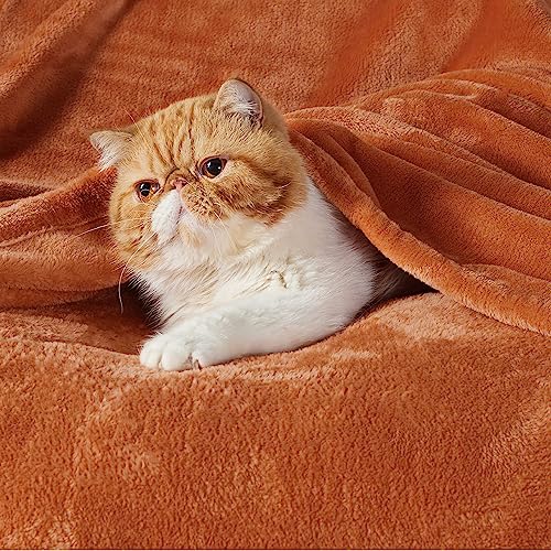 Soft Cozy Warm Fleece Twin Blanket for Bed 300GSM Orange 60"x80" (Orange / Twin (60" X 80"))