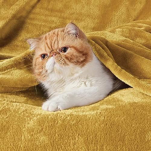 Fleece Blanket Queen Blanket Gold Yellow (Yellow Gold / Queen (90" X 90"))