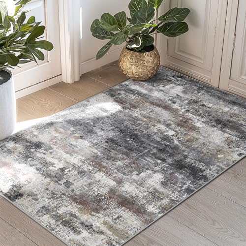2x3 Area Rugs for Entryway (Dark Grey / 2' x 3' (Rectangular))