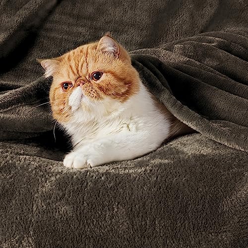 GentleSoft Fleece Blankets Queen Size Brown (Brown / Queen (90" X 90"))