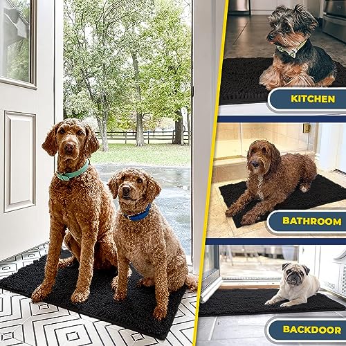Super Water Absorbent Door Mat Indoor (Black / 24" x 36")