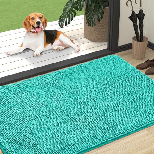Dog Door Mat for Muddy Paws 47x32 (Teal / 47" X 32")