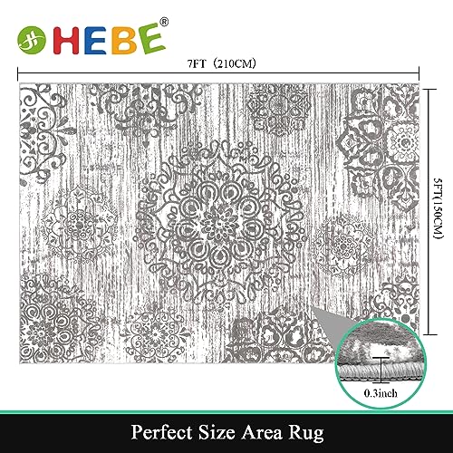 HEBE Area Rug for Living Room 5'x7' (Grey / 5' x 7' (Rectangular))
