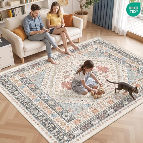 Area Rugs 5x7 Washable Rugs for Living Room (Blue/Red/Multi / 5' x 7' (Rectangular))