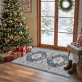 2x4 Non Slip Entryway Area Rugs (2x4 / Blue)