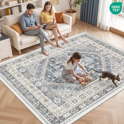 Area Rugs 5x7 Washable Rugs for Living Room (Blue/Beige / 5' x 7' (Rectangular))
