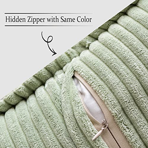Decorative Lumbar Throw Pillow Covers 12x20 Inch Sage Green 2 Pack (Sage Green / 20" x 12" (Pack of 2))