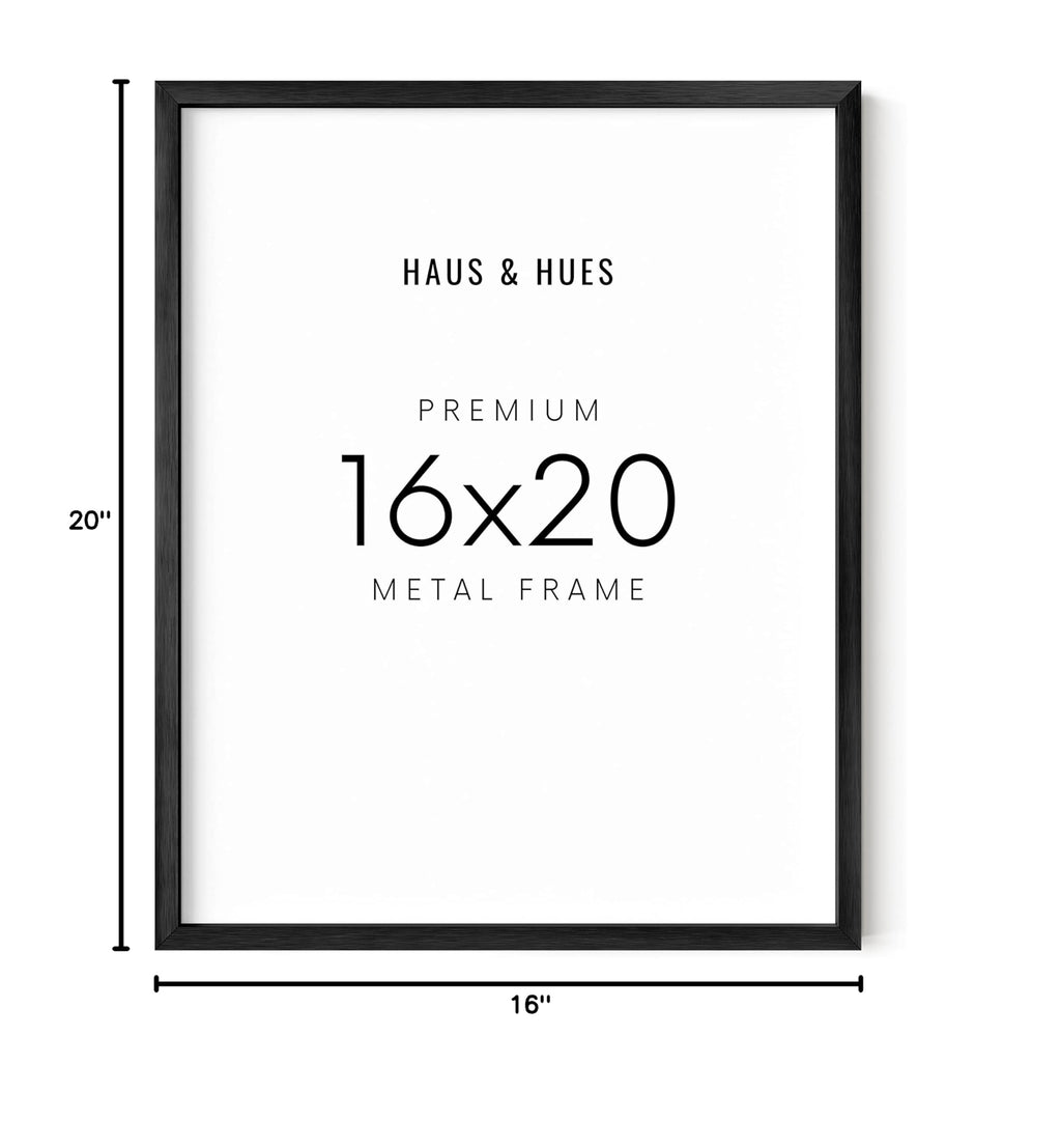 Black Metal Picture Frame (Set of 01 / Black Metal / 16x20 in)