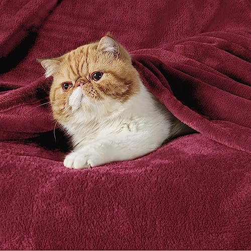 GentleSoft Fleece Throw XL Blanket Red (Red / Throw XL (50" X 70"))