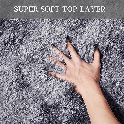 Shag Area Rugs for Living Room 5x7 Feet (Dark Grey / 5' x 7' (Rectangular))