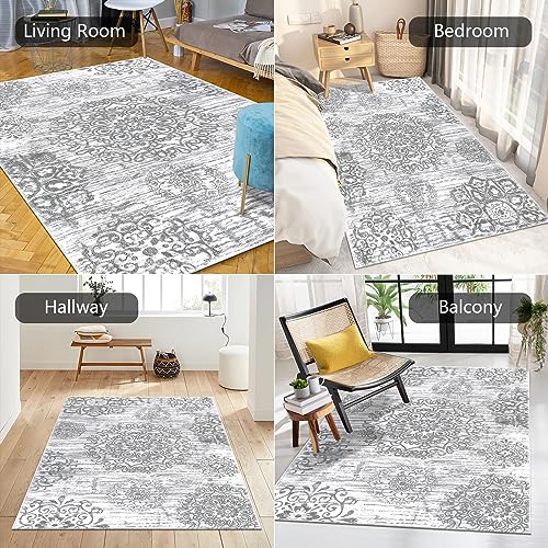 HEBE Area Rug for Entryway 3'x5' (Grey / 3' x 5' (Rectangular))
