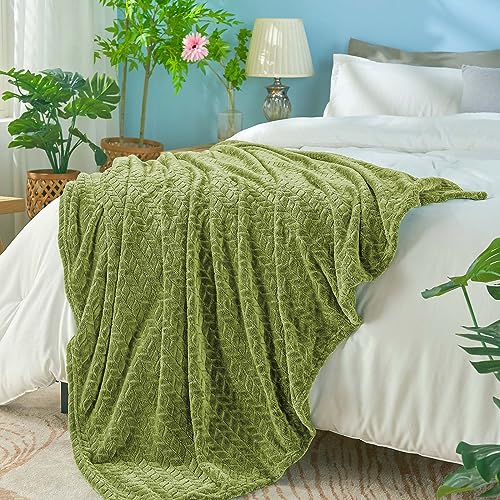 Sage Green Fleece Queen Blanket for Bed (Sage Green / Full/Queen-90x90 IN)