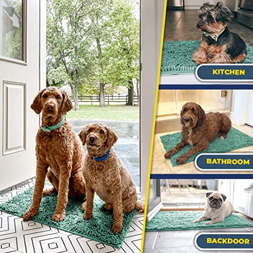 Super Absorbent Door Mat Indoor (Seafoam Green / 35" x 60")