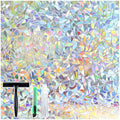 Window Privacy Film Rainbow (Clear / 23.6" x 118.1")
