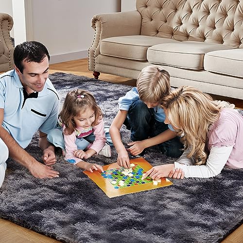 Shag Area Rugs for Living Room 5x7 Feet (Dark Grey / 5' x 7' (Rectangular))