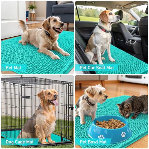 Dog Door Mat for Muddy Paws 32x20 (Teal / 32" X 20")