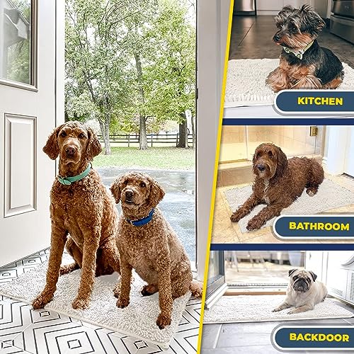 Super Water Absorbent Door Mat Indoor (White / 19" x 30")