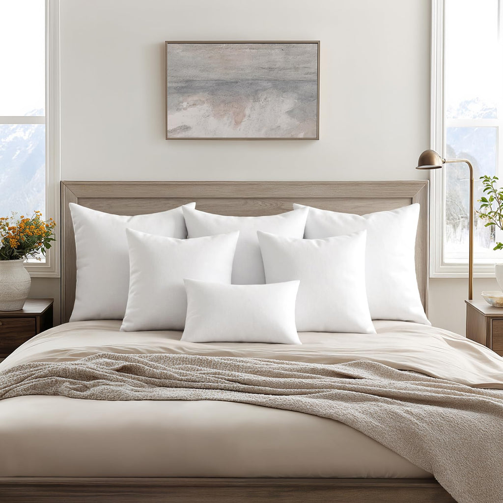 22x22 Throw Pillows Inserts 4 Pack (22x22 Inch)